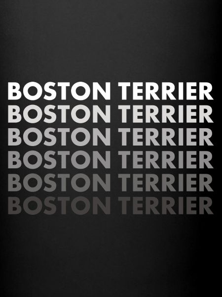 Boston Terrier