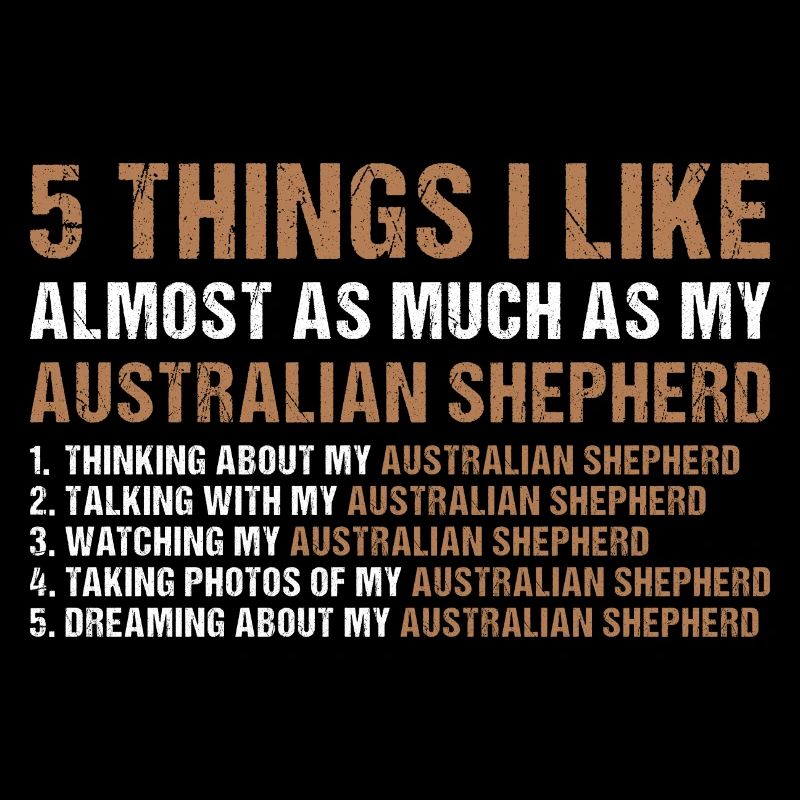 Dog 5 Things I Like Almost As Much As My Aussie