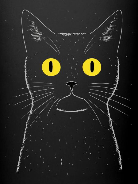 Chat excentrique la nuit