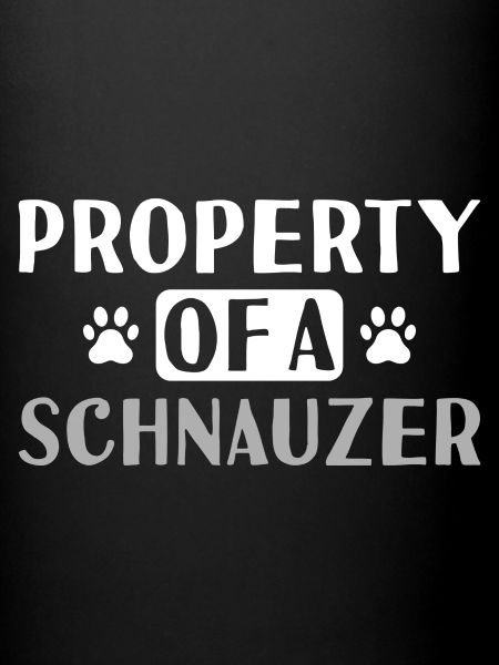 Propriété D’Un Schnauzer