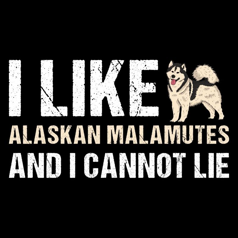 J’aime le Malamute d’Alaska et je ne peux pas mentir