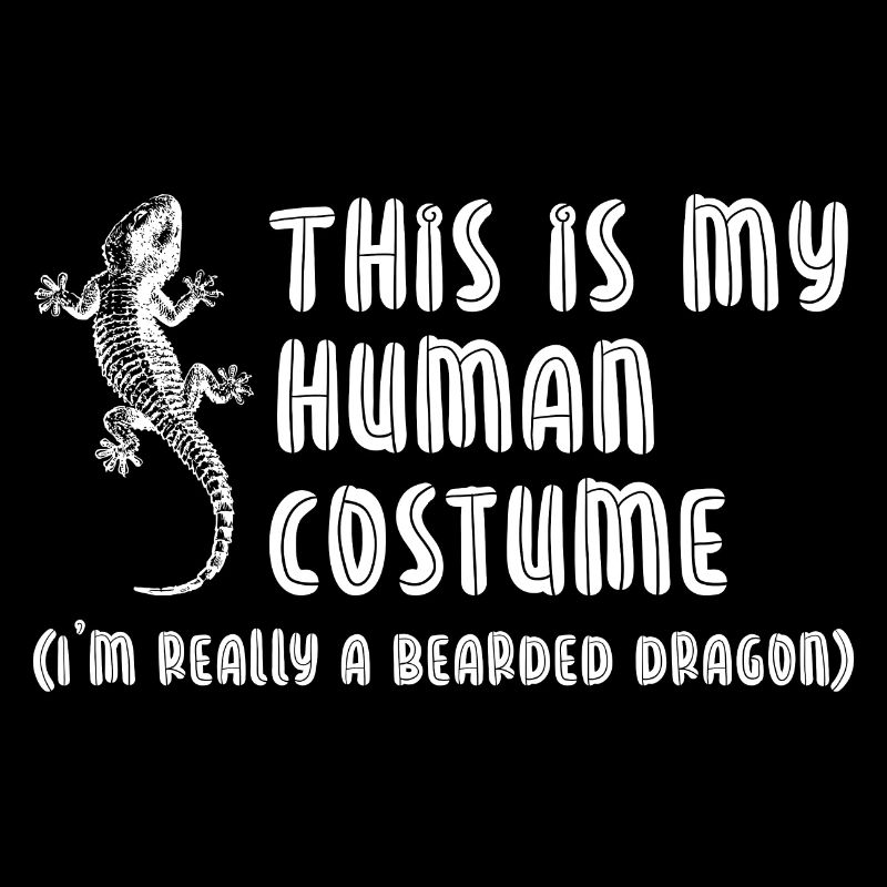 Bartagame Bearded Dragon