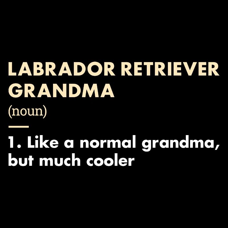 Labrador Retriever Grandma définition