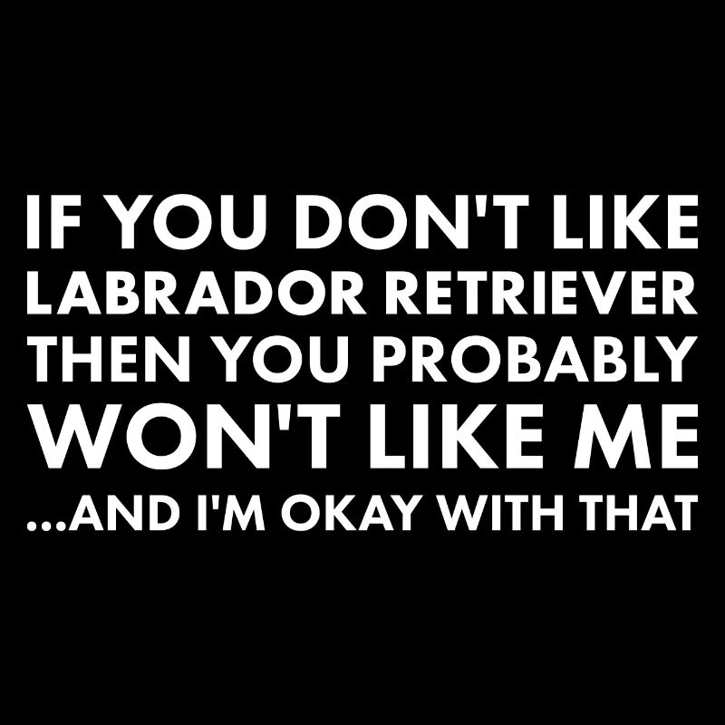 Si vous n’aimez pas Labrador Retriever
