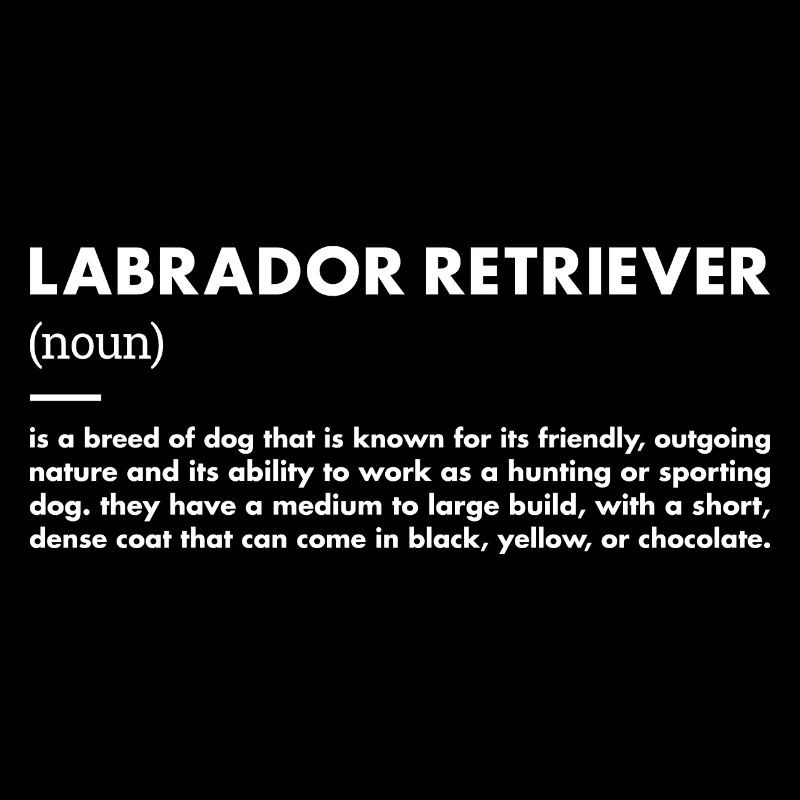 Définition du Labrador Retriever