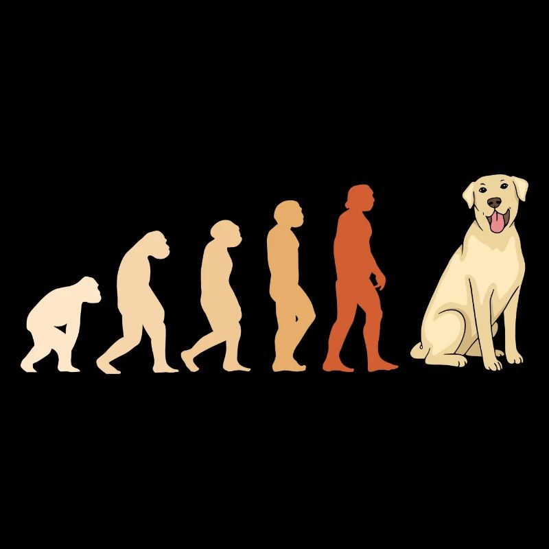 Evolution Labrador Retriever