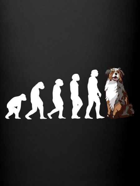 Dog Evolution Aussie