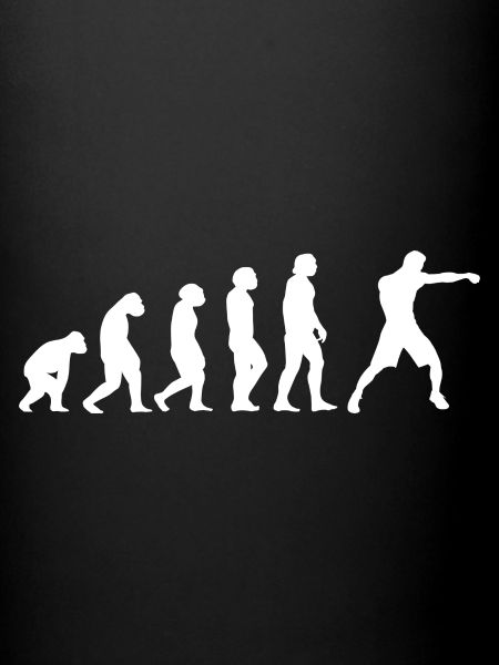 Sport Evolution MMA