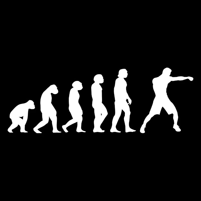 Sport Evolution MMA