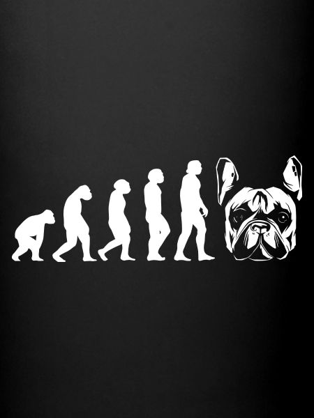Evolution Bouledogue Français
