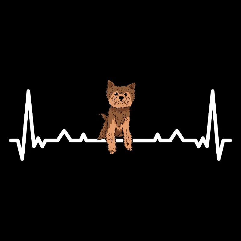 Heartbeat Yorkshire Terrier