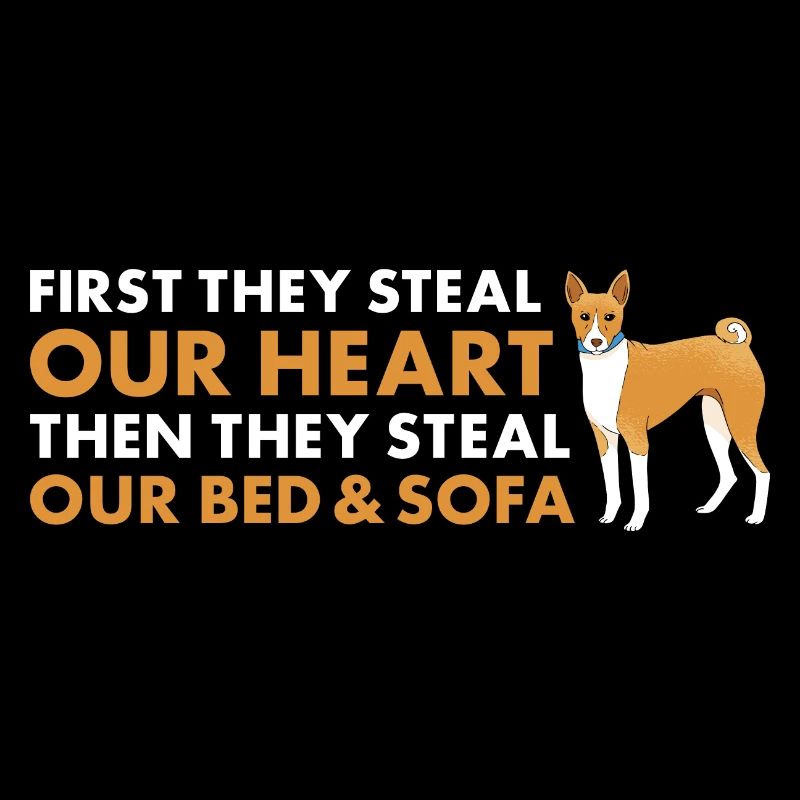 Le chien d’abord, ils volent notre cœur Basenji