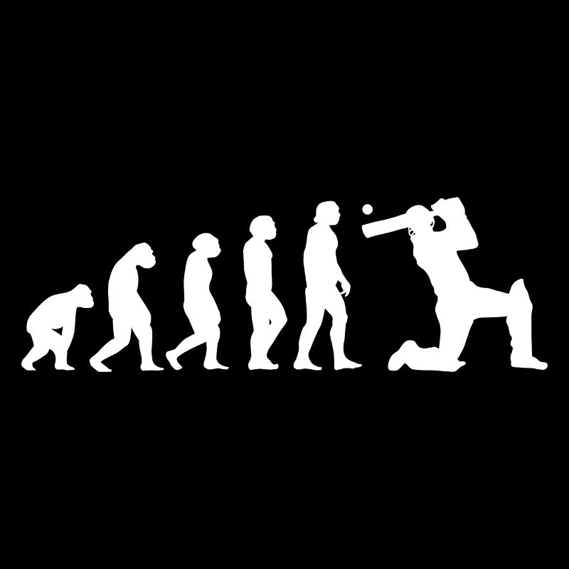 Sport Evolution Cricket