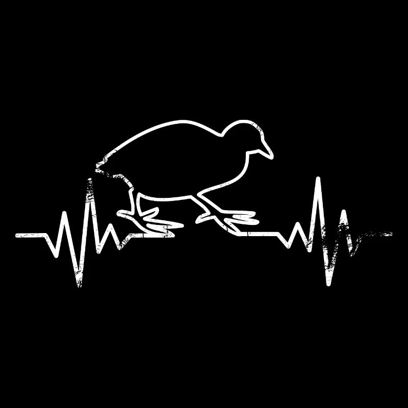 Wachtel EKG