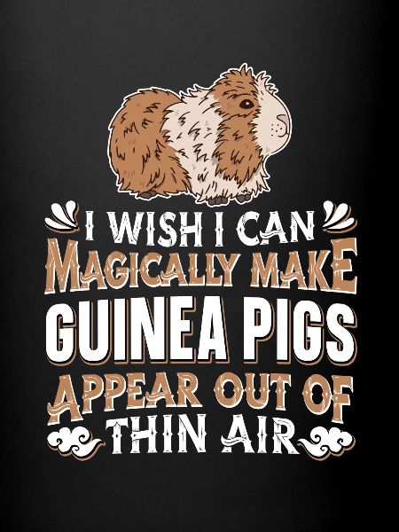 Cochon d’Inde Cochon d’Inde