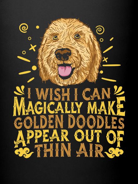 Chien Doodle d’or