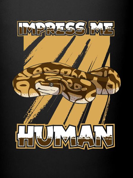 Boa Constrictor Serpent