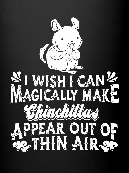 Chinchilla