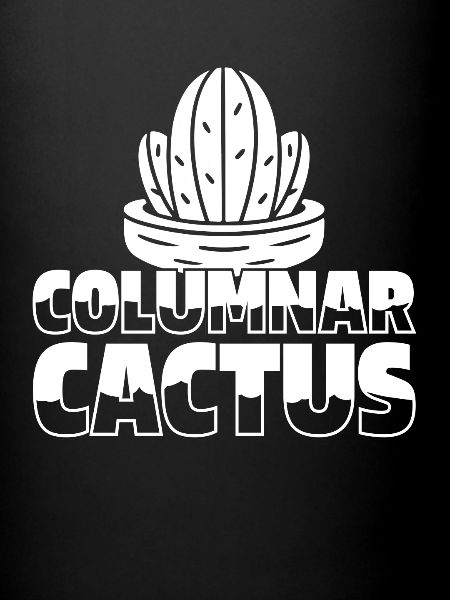 Jardin de cactus