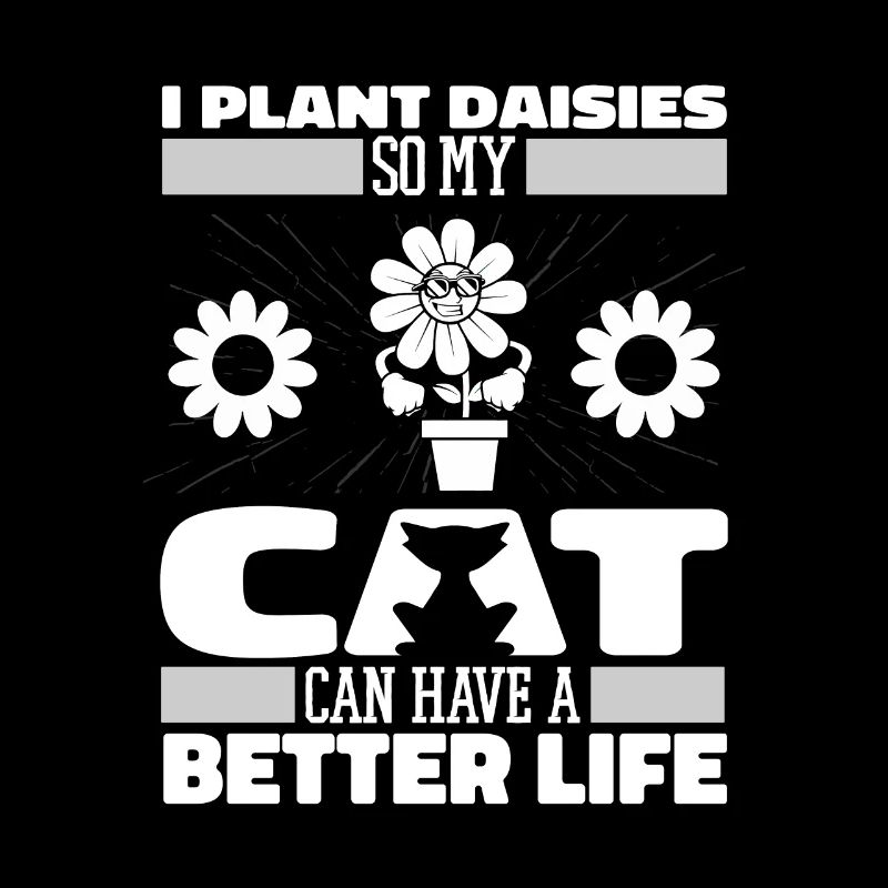 Gänseblume Gänseblümchen Katze