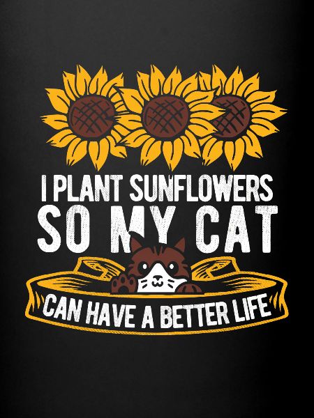 Chat tournesol