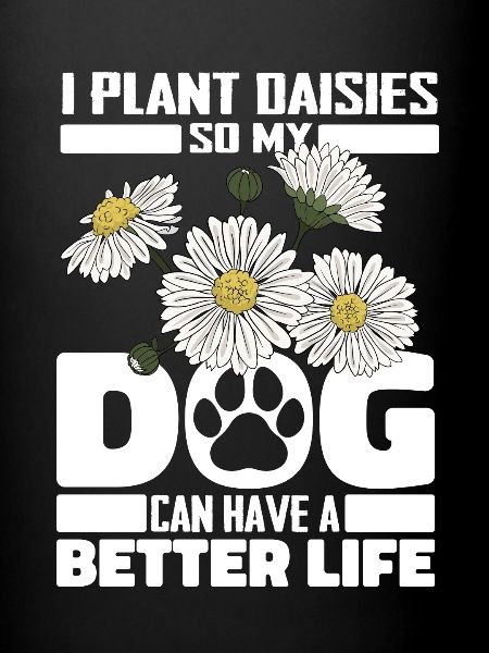 Fisée d’oie Daisy Dog