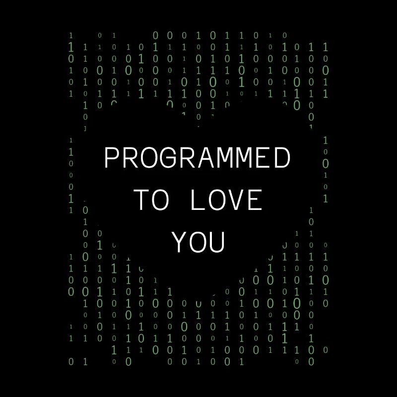 Developer Coder Programmer