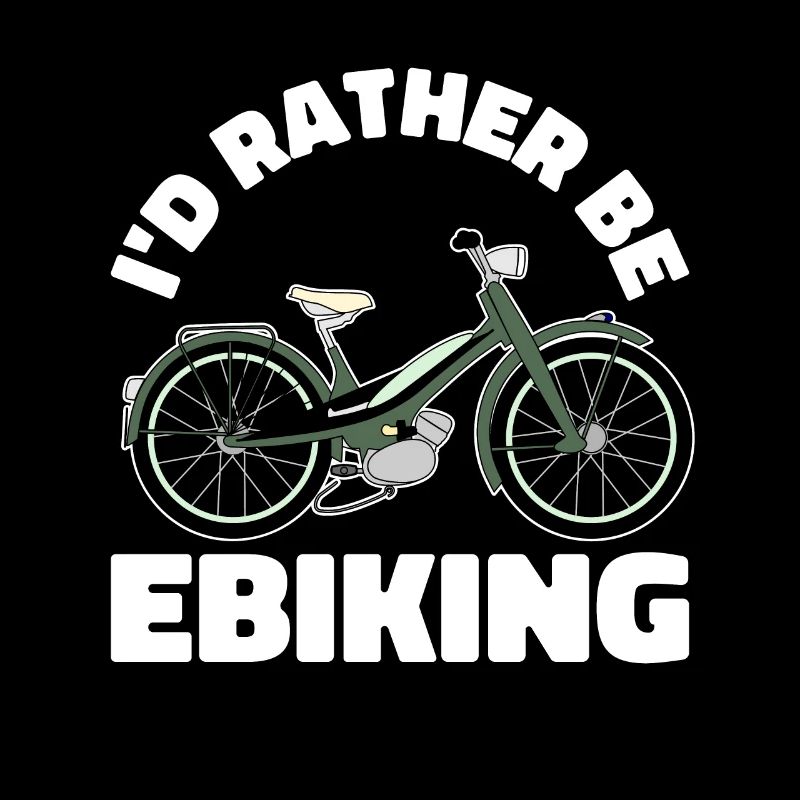 Vélo électrique E Bike