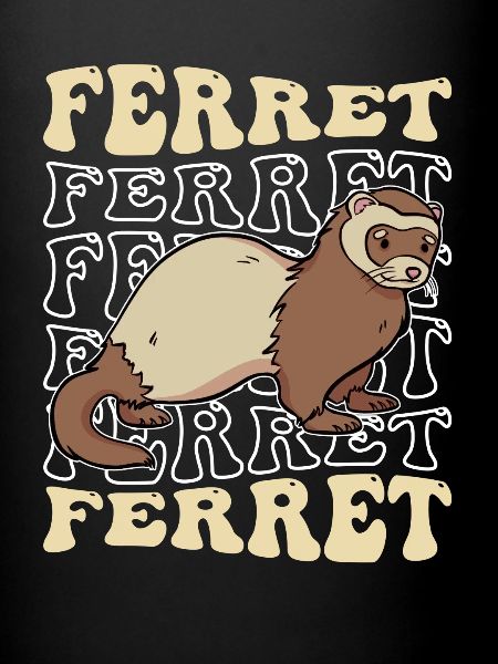 Ferret polecat