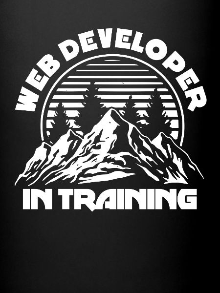 Web Entwickler Webdeveloper Ausbildung