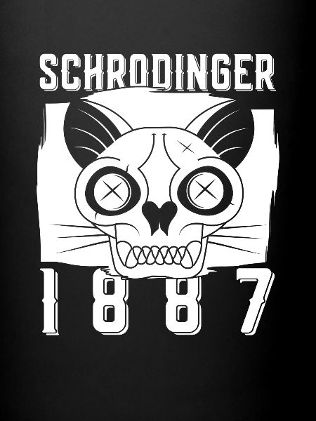 Physik Phyiker Katze Quantenphysik