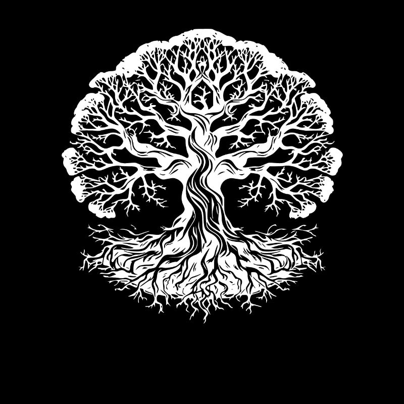 Racines d’arbres