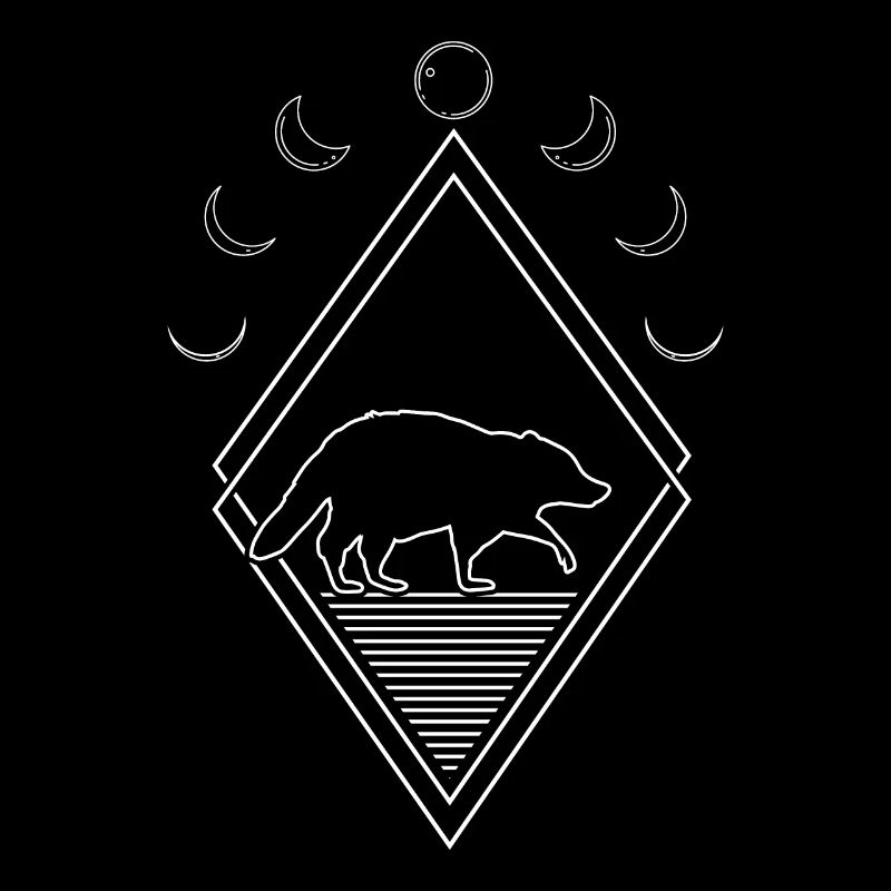 Waschbär Moon Phases