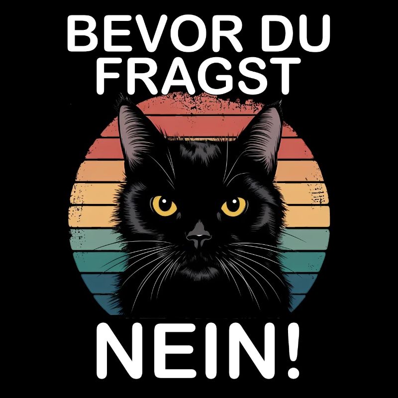 Bevor Du Fragst Nein Lustiges Schwarze Katze