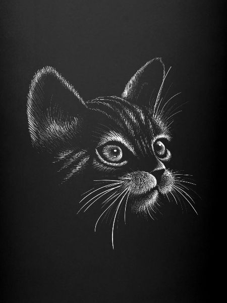 Cat hand drawn