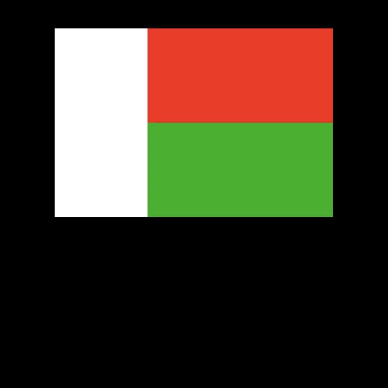 Offizielle Madagaskarflagge Madagassisch oder Madagassisch