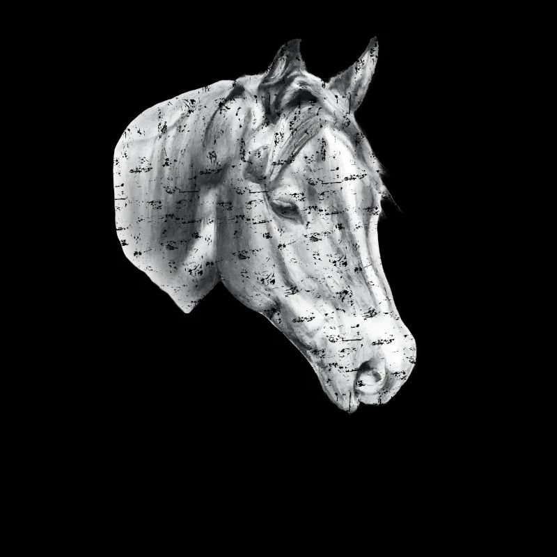 Dessin au crayon de tête de cheval