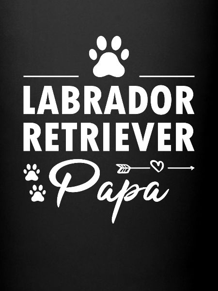Labrador Retriever Papa