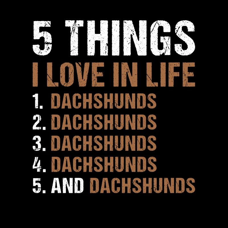 5 choses que j’aime dans la vie teckel