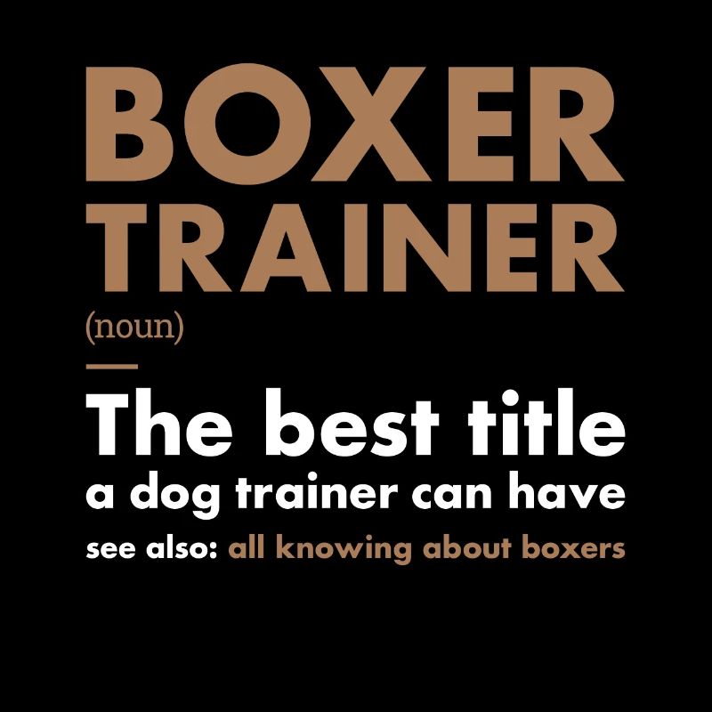 Boxer Trainer Definiton