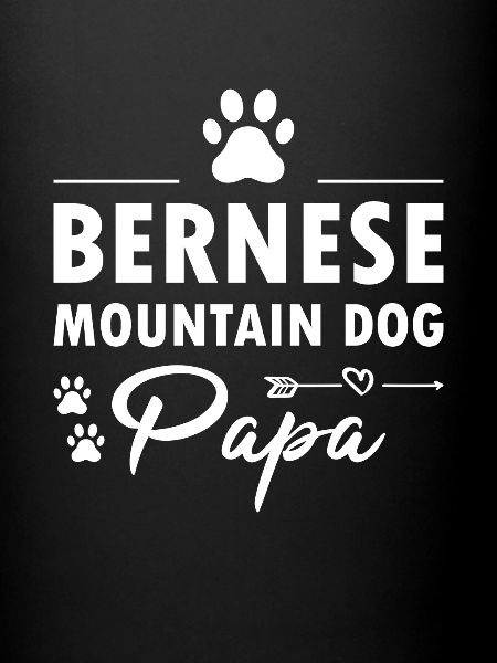Papa Bouvier Bernois