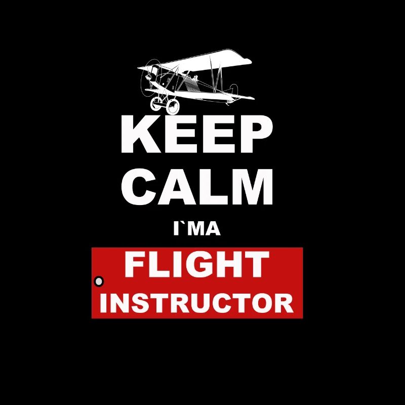 Piloten Fluglehrer Luftfahrt Flugzeug