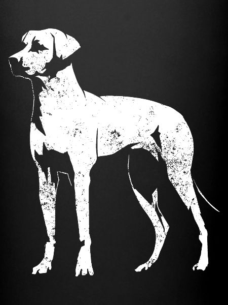 Rhodesian Ridgeback