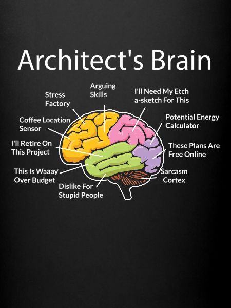 Architecte, Architecture, cerveau d’architecte