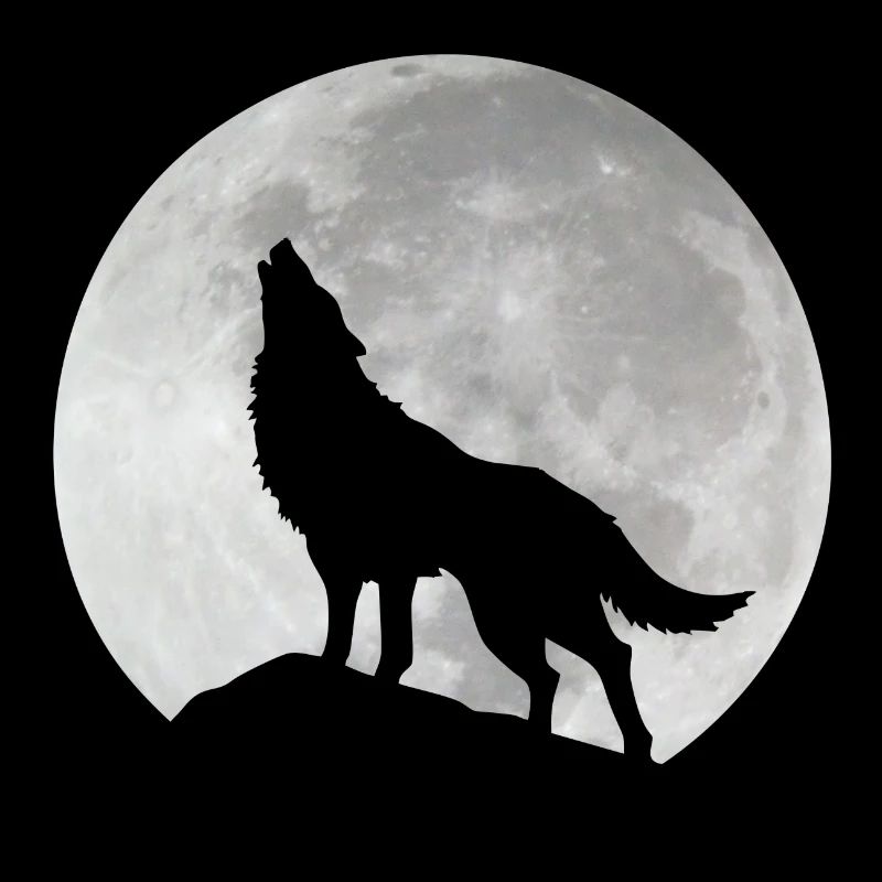 Wolf im Mond