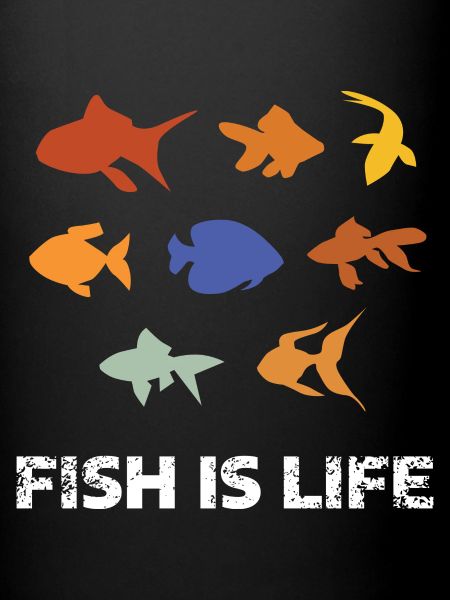Aquarium aquarium