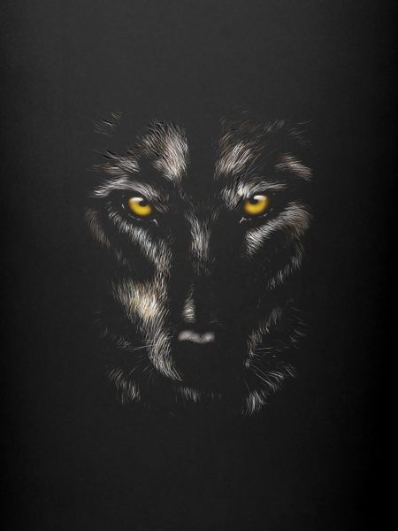 wolf