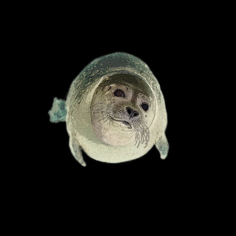 Seal