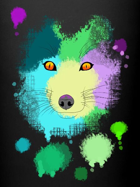 Fox Splash