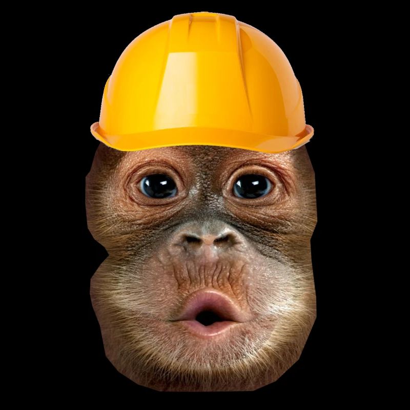 Monkey with construction helmet